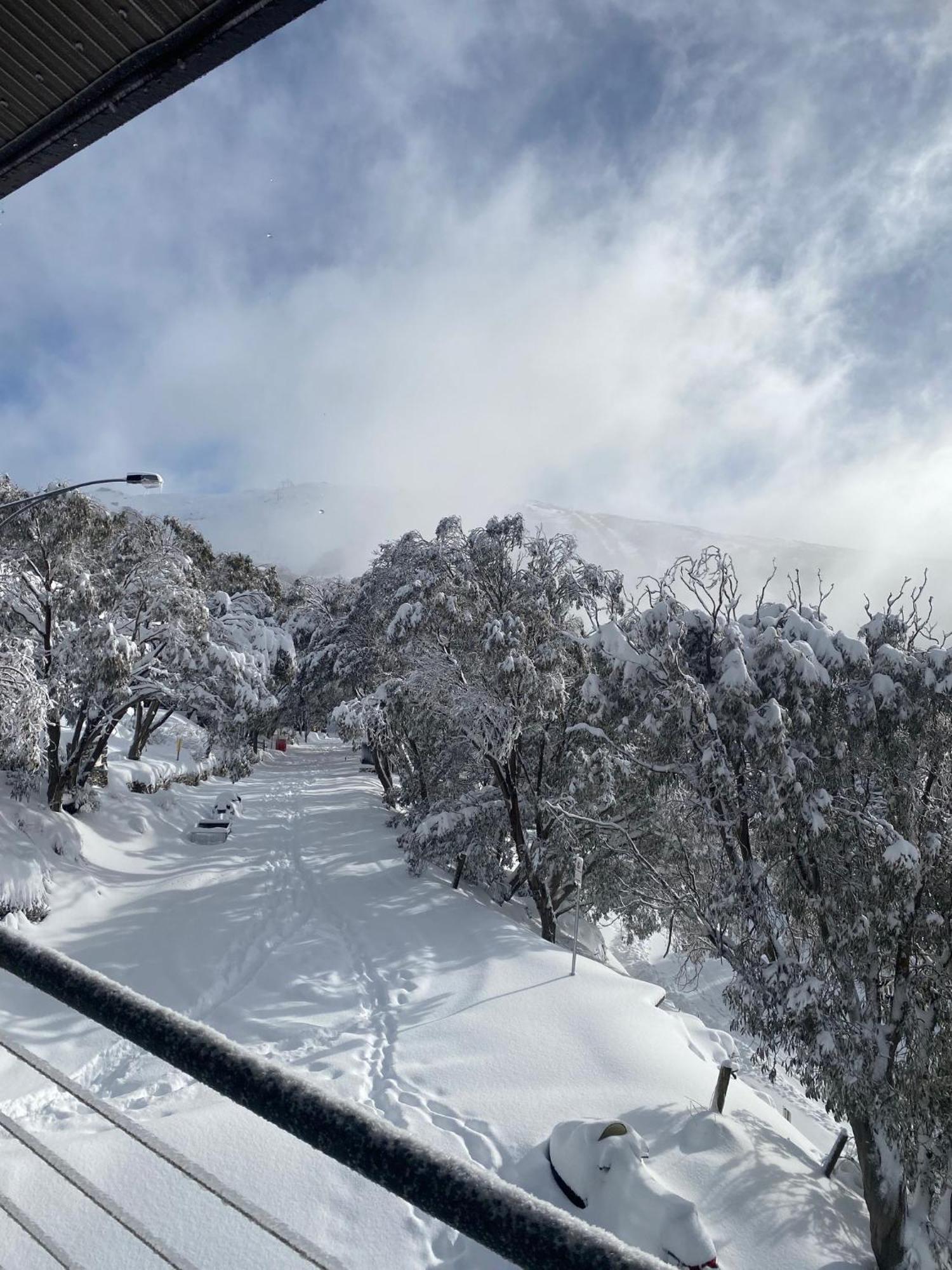 Alpine Woodsmoke Apartments Falls Creek Exterior foto